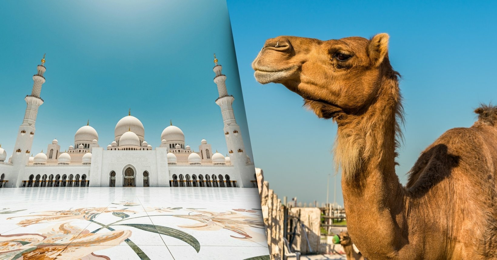 Voos Latam e Etihad de Abu Dhabi a partir de R$ 4.206