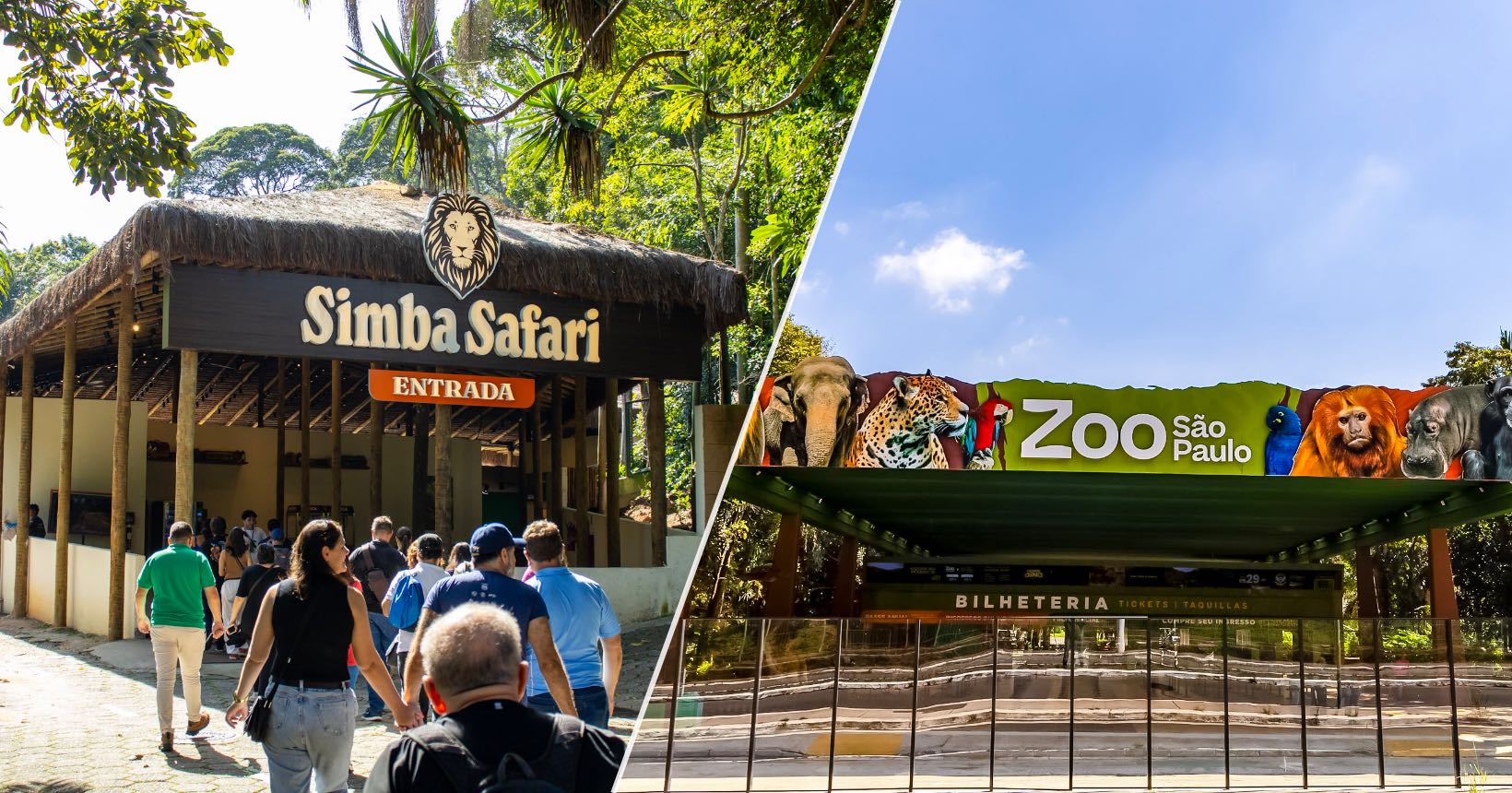 Ingressos Zoo São Paulo e Simba Safari a partir de R$ 51 com 15% OFF