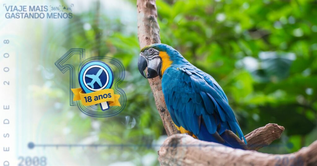Últimas horas da promoção do Simba Safari no Zoo SP pelo WhatsApp