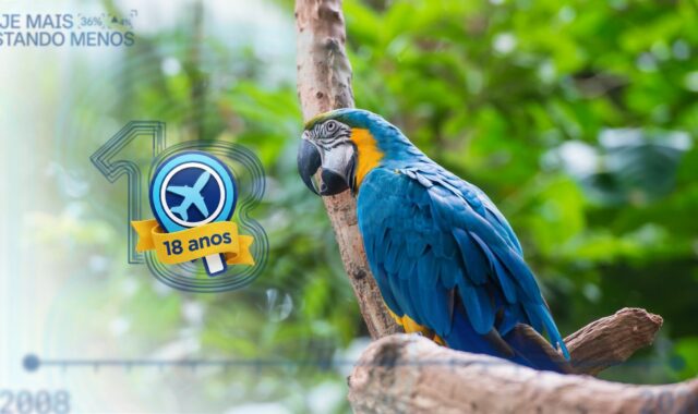 Últimas horas da promoção do Simba Safari no Zoo SP pelo WhatsApp